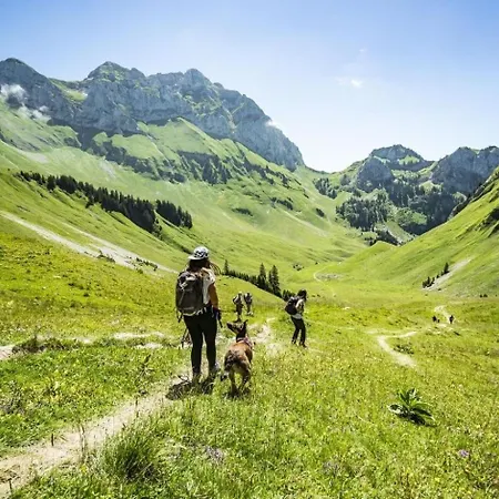 Voinettes Vnb7 Telecabine & Mountain 5 Pers *