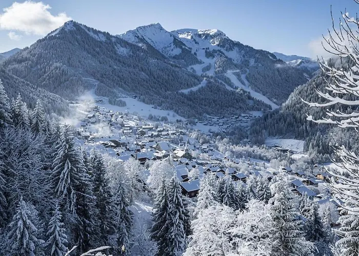 Voinettes Vnb7 Telecabine & Mountain 5 Pers Châtel