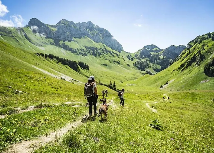 Voinettes Vnb7 Telecabine & Mountain 5 Pers *